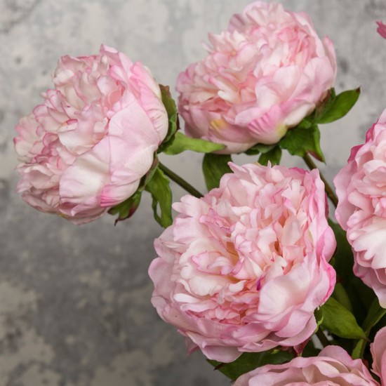 Real Touch Peony Flowers Pink Artificial Flowers